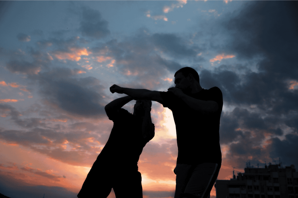 Solid Martial Training Program kursu fiyatları ve çok disiplinli dövüş eğitimi.